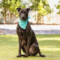 Thumbnail photo of Bisbee #3