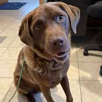 Thumbnail photo of Jake #1