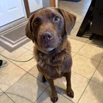 Thumbnail photo of Jake #2