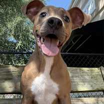 Thumbnail photo of Sprout #1