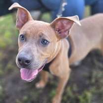 Thumbnail photo of Sprout #2