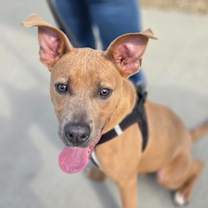 Thumbnail photo of Sprout #3