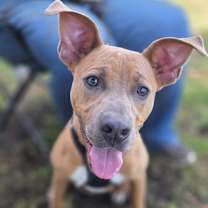 Thumbnail photo of Sprout #4