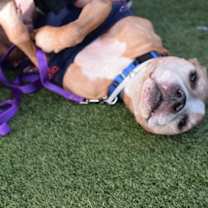 Thumbnail photo of Aariz #2