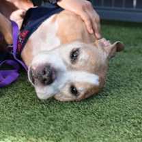 Thumbnail photo of Aariz #3