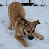 Thumbnail photo of Holly #1