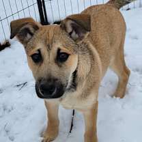 Thumbnail photo of Holly #2