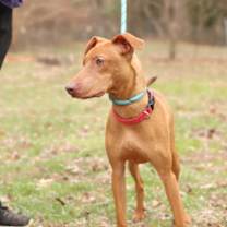 Thumbnail photo of Pax #2