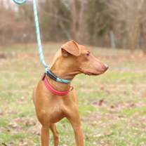 Thumbnail photo of Pax #3