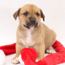 Thumbnail photo of Bennett #2