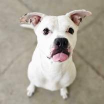 Thumbnail photo of Snow #1