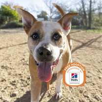 Thumbnail photo of ROCKET #1