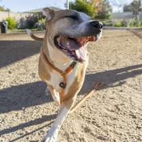 Thumbnail photo of ROCKET #3