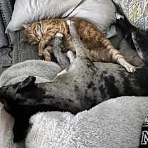 Thumbnail photo of Mae #2