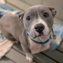 Thumbnail photo of NOELLE #1