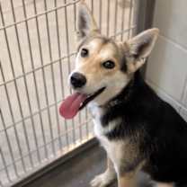 Thumbnail photo of PAYTON #1