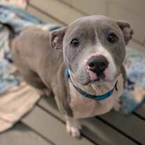 Thumbnail photo of NOELLE #2