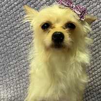 Thumbnail photo of Nikki #1