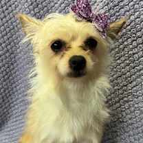 Thumbnail photo of Nikki #2