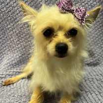 Thumbnail photo of Nikki #3