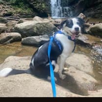 Thumbnail photo of Finny #2