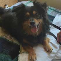 Thumbnail photo of Buddy #1