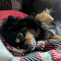 Thumbnail photo of Buddy #3