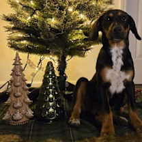 Thumbnail photo of Willie #2