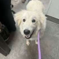 Thumbnail photo of Snow #3