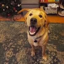 Thumbnail photo of Bing Bong #1