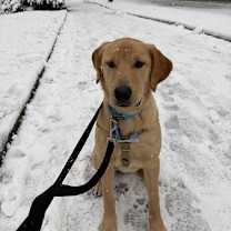 Thumbnail photo of Bing Bong #2