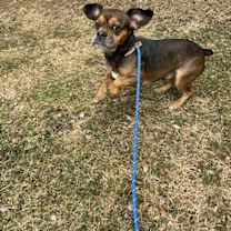 Thumbnail photo of Francis #1