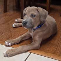 Thumbnail photo of Kenickie #1