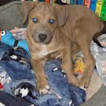 Thumbnail photo of Kenickie #4