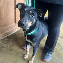 Thumbnail photo of Dursilla  #1