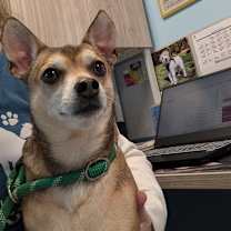 Thumbnail photo of Bandit #1