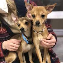 Thumbnail photo of Bandit #3