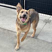 Thumbnail photo of Bagels #3