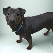 Thumbnail photo of Seven #2