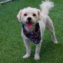 Thumbnail photo of Julio #3