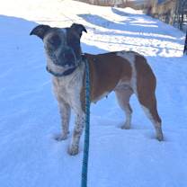 Thumbnail photo of Challah #2