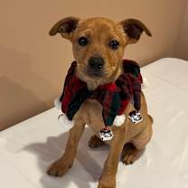 Thumbnail photo of Helena #3