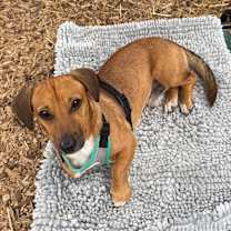 Thumbnail photo of Robbie #3