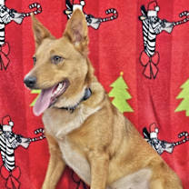 Thumbnail photo of Ariel #3