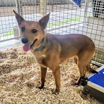 Thumbnail photo of Ariel #4