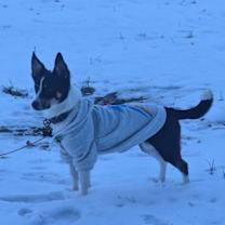 Thumbnail photo of Sturgill #1