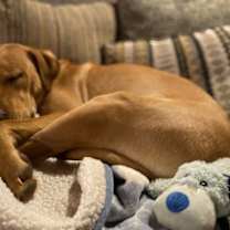 Thumbnail photo of Charlie #4