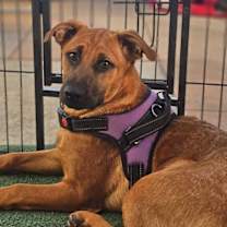 Thumbnail photo of Cindy #1