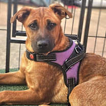 Thumbnail photo of Cindy #2