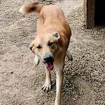 Thumbnail photo of Journey #4